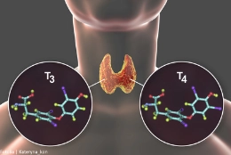 Molecules of thyroid hormones CR
